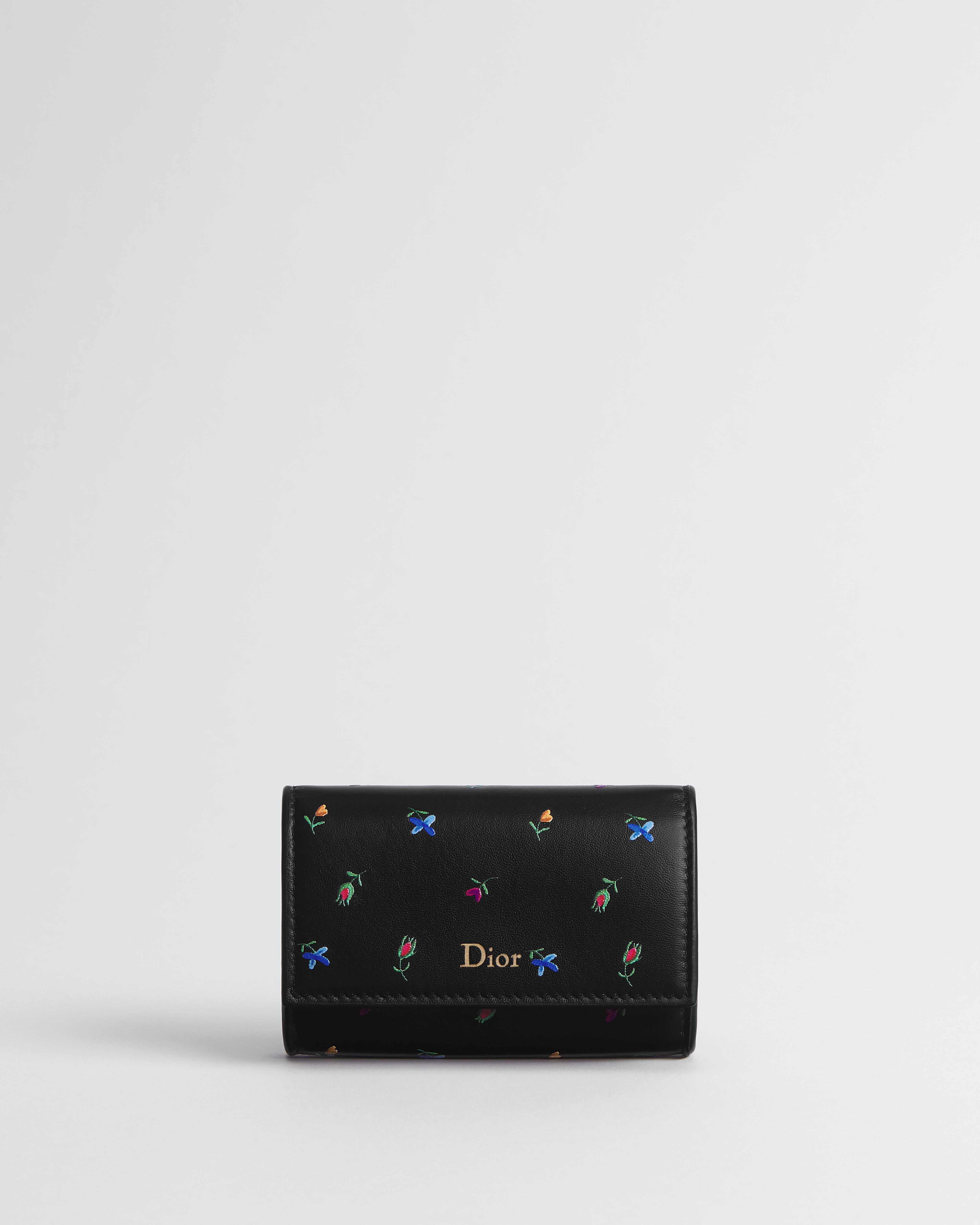 Dioramour Dior Glycine 钱包 黑色羊皮革多色 Revolution Flowers 图案印花 E01