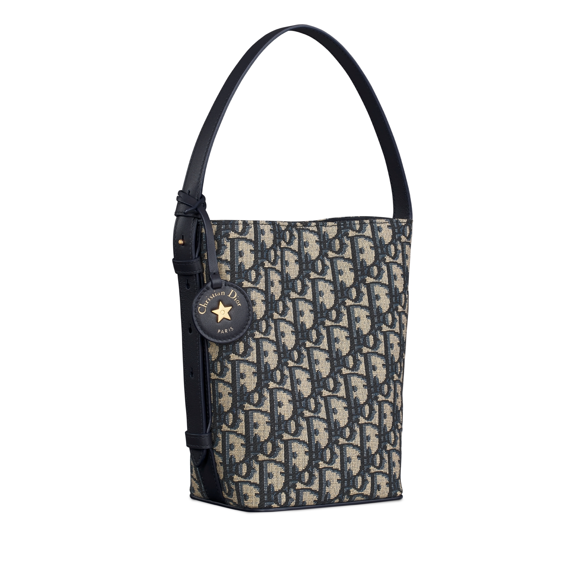 Diorstar 迷你水桶包 蓝色 Oblique 印花面料 E03