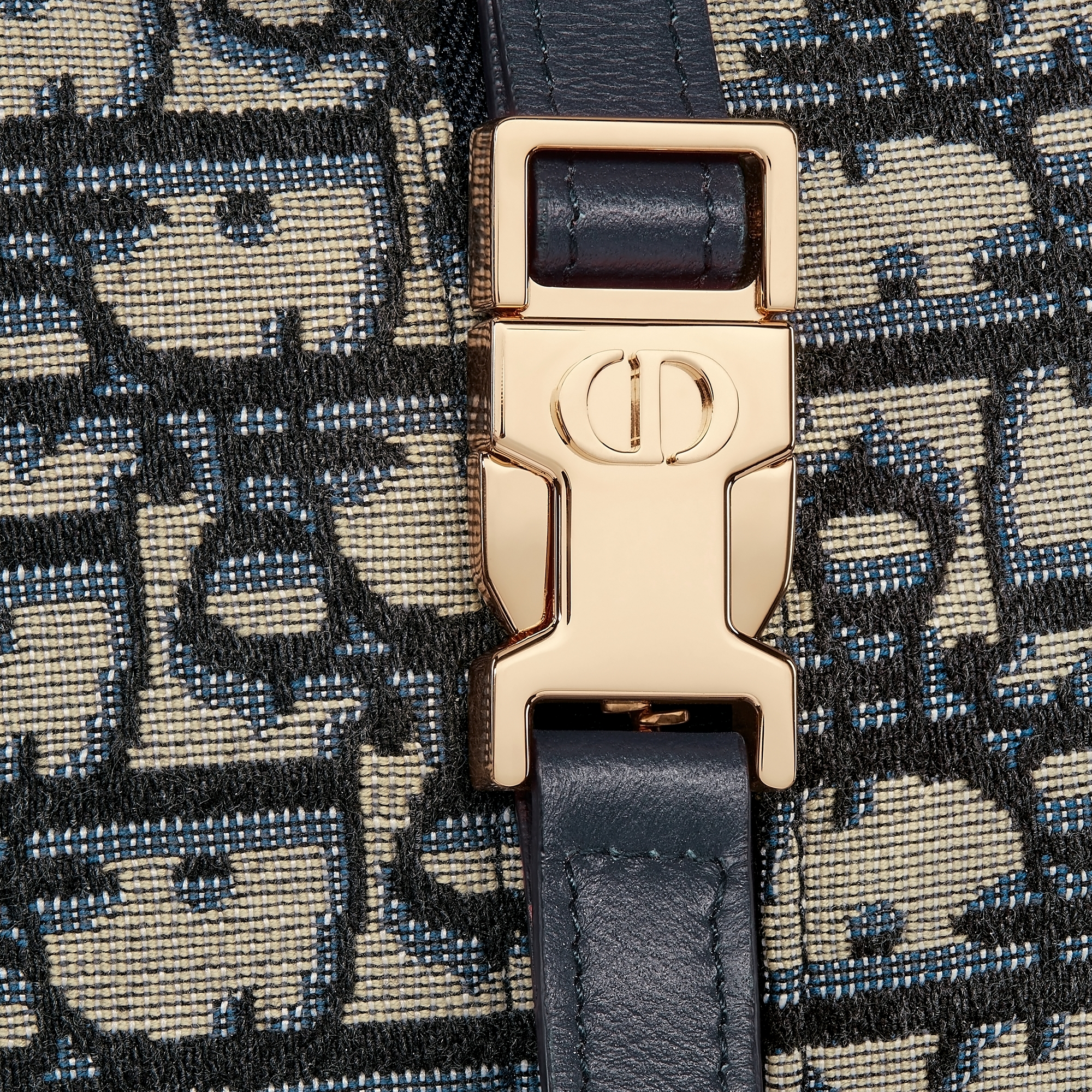 中号 DiorTravel Nomad 手拿包 蓝色 Oblique 印花面料 E09