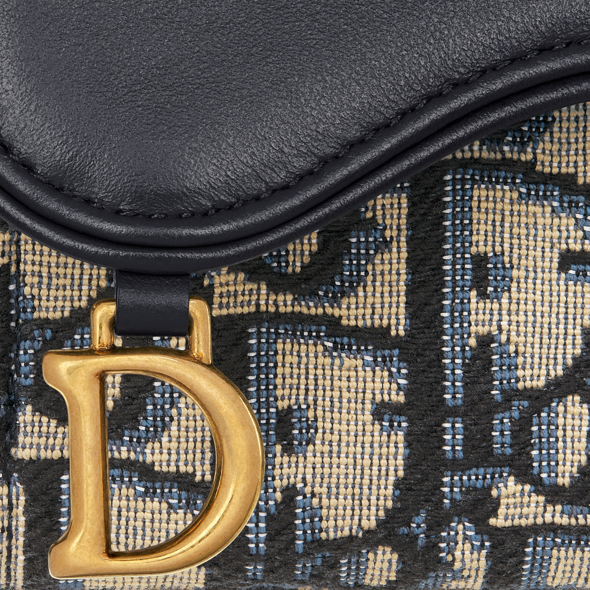 Bloom 马鞍卡夹 蓝色 Oblique 印花面料和光滑牛皮革 E09