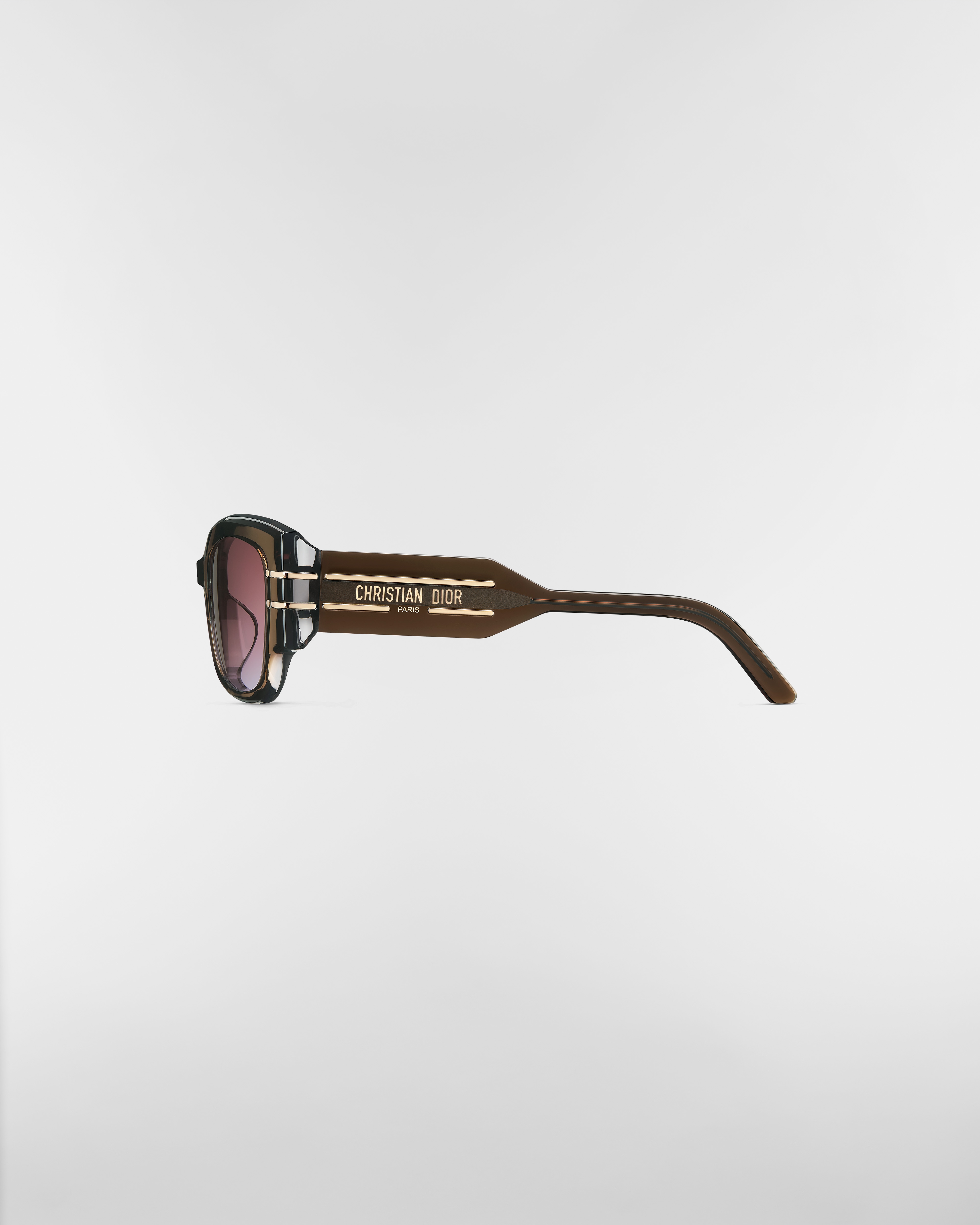 DiorSignature S13F 太阳眼镜 棕色半透明正方形镜框 E02